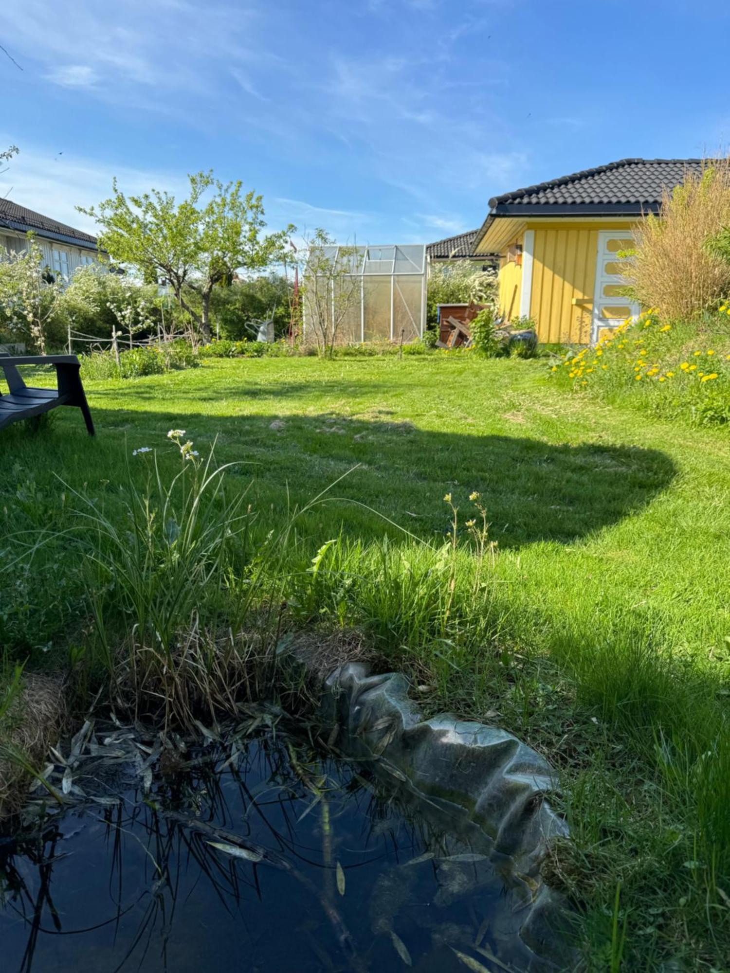 Just Like Home Bed & Spa Porsgrunn Esterno foto